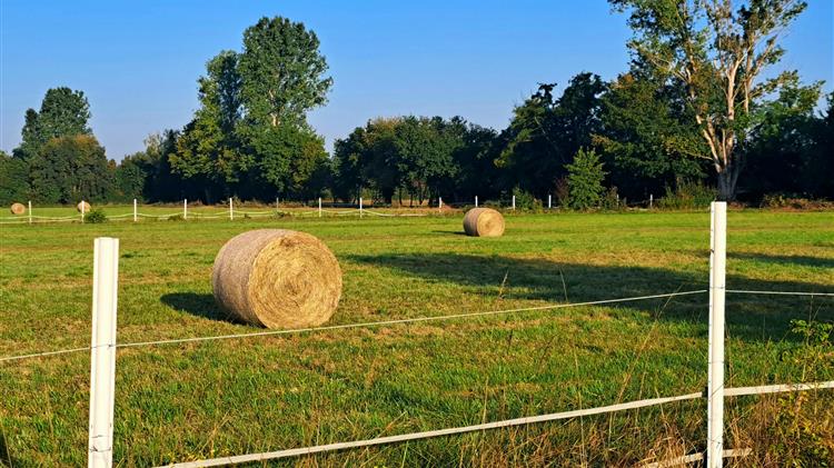 Τα αιτήματα του ΠΑΣΟΚ για την Εξεταστική Επιτροπή του ΟΠΕΚΕΠΕ