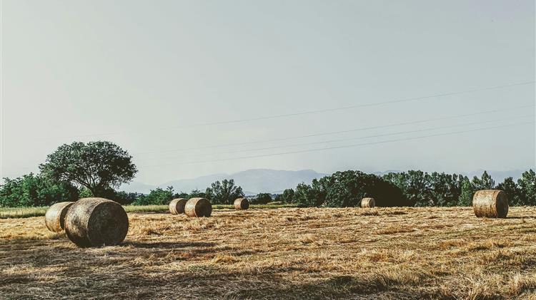 Η Ευρωπαϊκή Εισαγγελία κάνει το καθήκον της. Η Ελληνική Εισαγγελία, θα παρέμβει;
