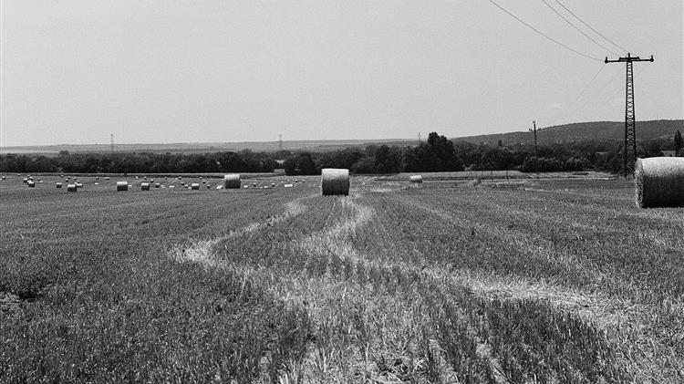 ΟΠΕΚΕΠΕ: Δόθηκε παράταση ως τις 20 Οκτωβρίου για τις δηλώσεις ΑΤΑΚ στην ΕΑΕ 2025