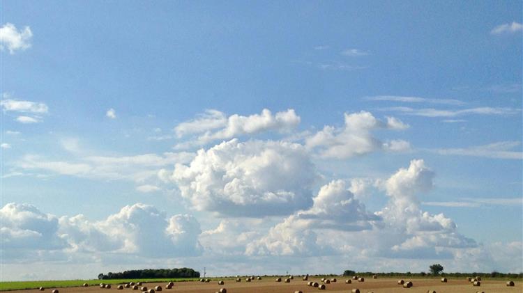 Μουλκιώτης: «Στα «όριά» τους οι αγρότες- Η κυβέρνηση αδιαφορεί για το αυξημένο κόστος και τη ρευστότητά τους»