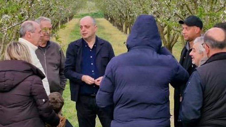 Καπετάνος: «Στήριξη σε όλους τους αμυγδαλοπαραγωγούς του νομού Λάρισας»