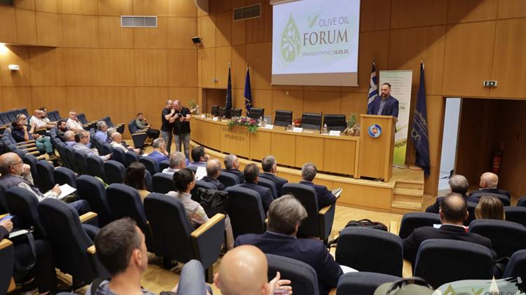 Olive Oil Forum: Εθνική στρατηγική για την ανάδειξη του ελληνικού ελαιολάδου