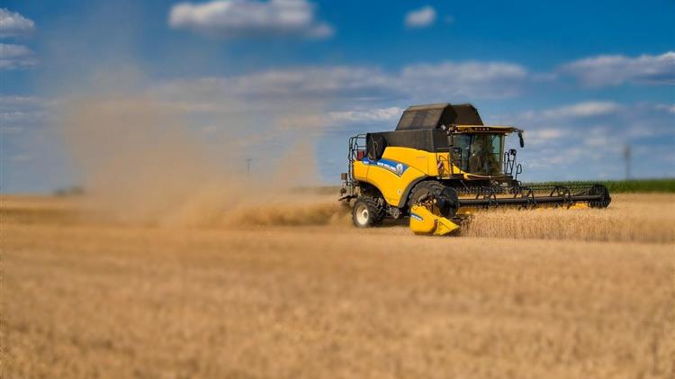 Σιτάρι: Οι αριθμοί δεν ψεύδονται – η Ευρώπη επιστρέφει η Ρωσία κυριαρχεί το εμπόριο ξαναπαίρνει μπροστά