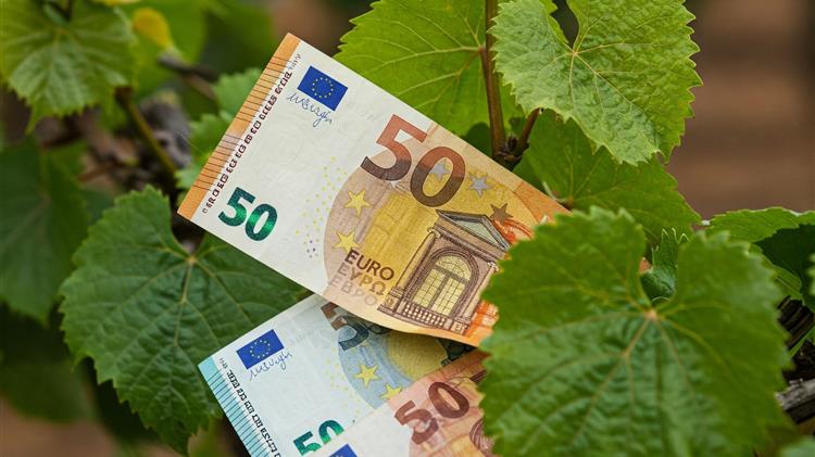 Σοβαρές προειδοποιήσεις για τη νέα ΚΓΠ από το Ευρωπαϊκό Ελεγκτικό Συνέδριο