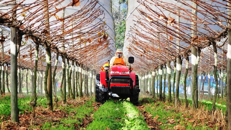 Θύελλα καταστροφής στα Χανιά: Ισχυροί άνεμοι σάρωσαν θερμοκηπιακές καλλιέργειες και υποδομές