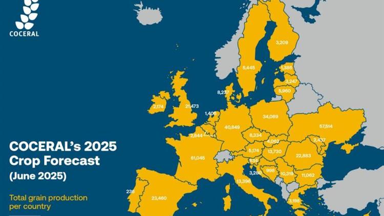 Η COCERAL προβλέπει υψηλότερη παραγωγή σιτηρών στην ΕΕ