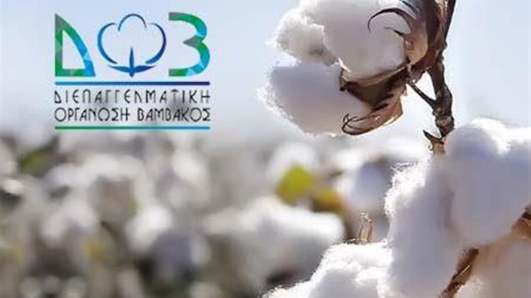 ΔΟΒ για την έναρξη διαδικασίας υποβολής αιτήσεων Μέτρο 23 για τους βαμβακοπαραγωγούς