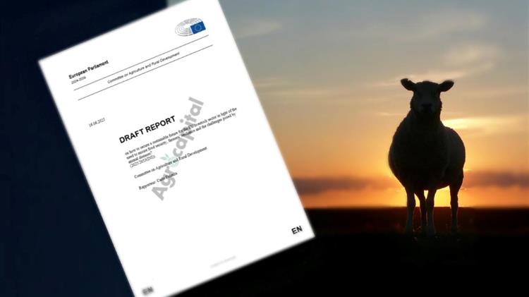 Κτηνοτροφία: Έκθεση καμπανάκι απο την Ε.Ε - Επανεκκίνηση ή αποχώρηση για χιλιάδες παραγωγούς;