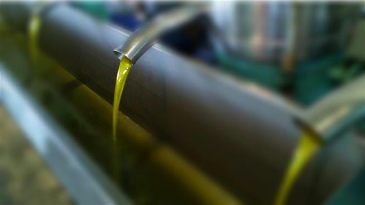 Ελαιόλαδο: Πού φτάνει το κιλό σε Ελλάδα, Ιταλία και Ισπανία – Oι νικητές και οι χαμένοι της αγοράς