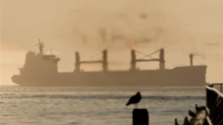 Η Ιταλία ρίχνει τον πήχη: Η αγορά σκληρού σίτου γυρίζει σελίδα