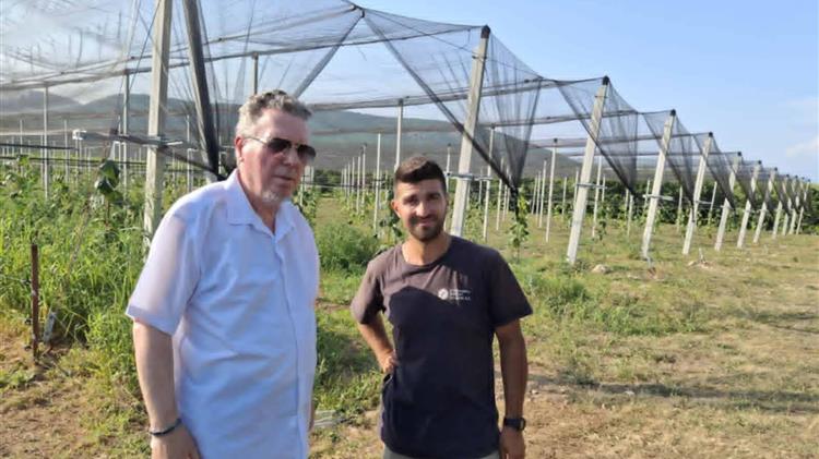 Η χημική ανάλυση του νερού άρδευσης είναι μια σημαντική εξέταση για την καλλιέργεια του ακτινιδίου