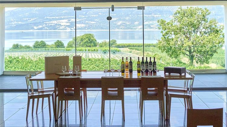 «Τα Οινοπέδια των Λιμνών: Οίνος – Τόπος – Άνθρωποι»