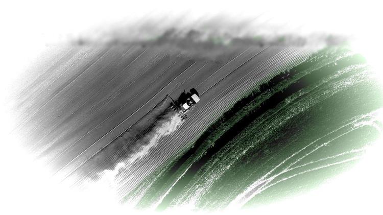 Οι βοσκότοποι της φαντασίας, η ελληνική πραγματικότητα  και το χαμένο στοίχημα της γεωργίας