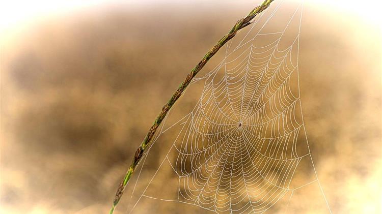 ΟΠΕΚΕΠΕ: Η πρώτη υπόθεση απάτης ανοίγει τον ασκό του Αιόλου