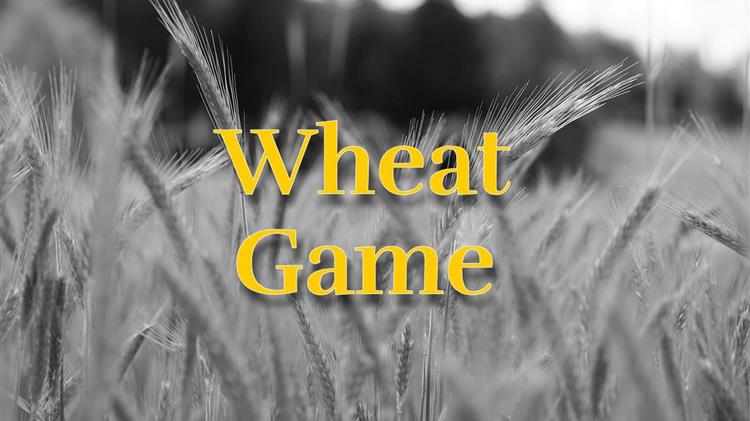 Πριμοδότηση-μαμούθ στους Τούρκους αγρότες – Νέες τιμές σιτηρών πυροδοτούν τον ανταγωνισμό