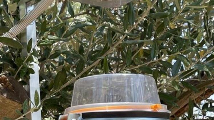 Πιλοτικό σύστημα αναγνώρισης δάκου στην ΠΔΕ μέσω του προγράμματος AMBITIOUS