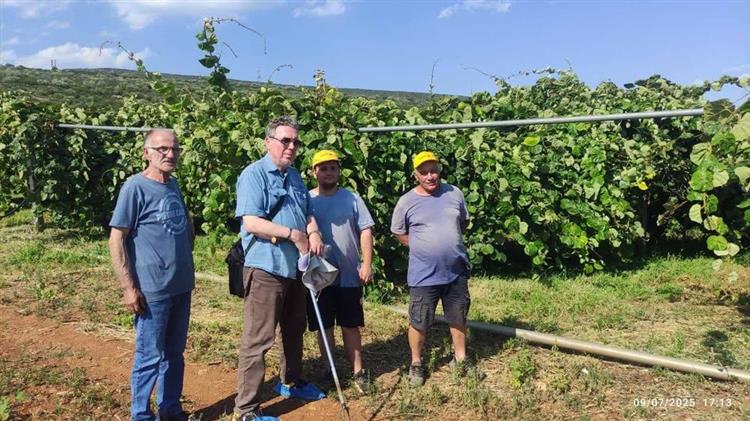 Καθοριστική για την καλή ανάπτυξη της ακτινιδιάς  η “Φυλλοδιαγνωστική” ανάλυση