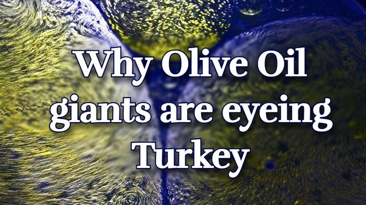 Επιχειρηματική έξοδος προς Τουρκία: Οι Ευρωπαίοι εξαγωγείς ελαιολάδου μετακομίζουν για να γλιτώσουν τους δασμούς των ΗΠΑ