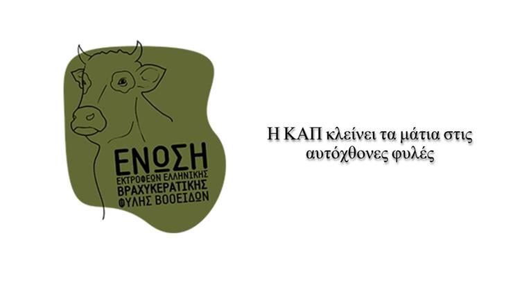 Σπάνιες φυλές: Οι καθυστερήσεις του ΟΠΕΚΕΠΕ ξαναδοκιμάζουν την εμπιστοσύνη των κτηνοτρόφων