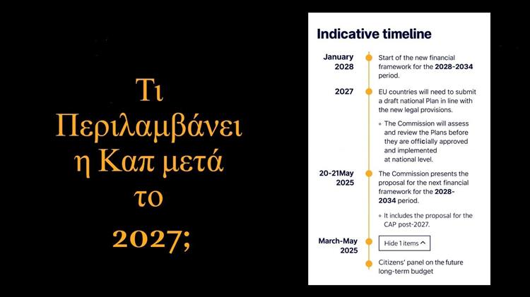 Η νέα εποχή της ΚΑΠ: Τι (δεν) λένε για τις επιδοτήσεις μετά το 2027
