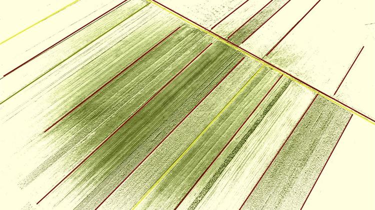 ΟΣΔΕ 2025: Νέοι κανόνες, πρόστιμα και αποκλεισμοί – Τι αλλάζει στις ενισχύσεις