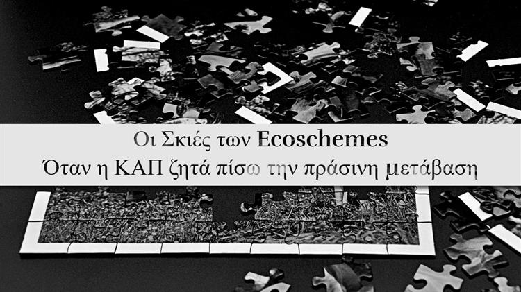 Αναδρομικός αποκλεισμός βιοκαλλιεργητών από τα Eco-Schemes: Στο τραπέζι οι επιστροφές ενισχύσεων