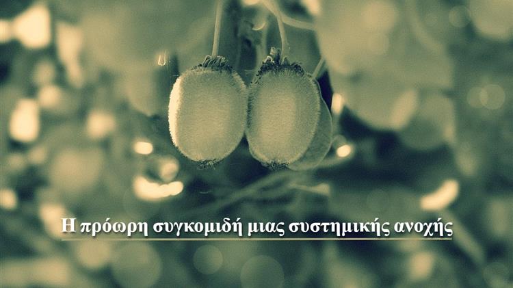 Ακτινίδιο: Η πρόωρη συγκομιδή μιας συστημικής ανοχής