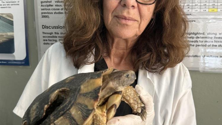 Όμιλος Επιχειρήσεων Σαρακάκη: Σταθερός Υποστηρικτής της ΑΝΙΜΑ για τη διάσωση άγριων ζώων που επλήγησαν από τις πυρκαγιές