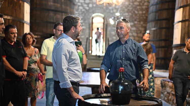 Ανδρουλάκης: Το σκάνδαλο του ΟΠΕΚΕΠΕ δείχνει την αποτυχία της ΝΔ  να ενισχύσει τον πρωτογενή τομέα