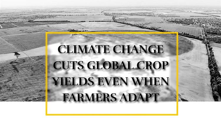 Stanford: Η παγκόσμια γεωργία οδηγείται σε κατάρρευση — Μονόδρομος η προσαρμογή με κόστος