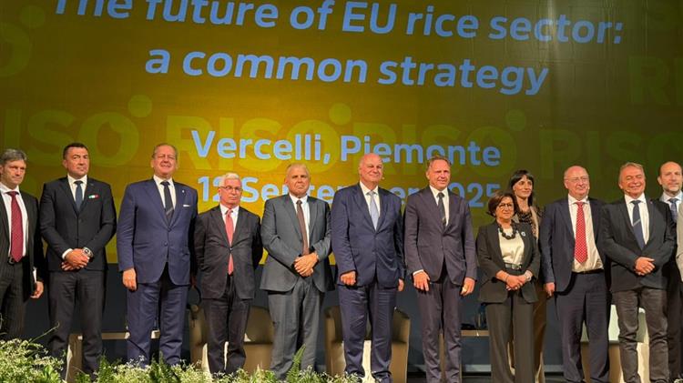 Τσιάρας: Δίκαιοι κανόνες για το ρύζι