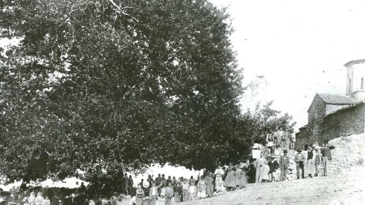 Ένταξη μνημειακού πλατάνου Αγ. Ιωάννη Αρκαδίας στο Δίκτυο Αιωνόβιων Δέντρων Ελληνικής Επανάστασης