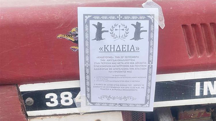 Η κυβέρνηση αφήνει στο έλεος τους αμυγδαλοπαραγωγούς