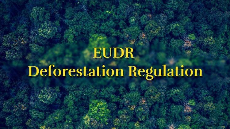 EUDR: Αντιπαράθεση για τον κανονισμό αποψίλωσης – Πιέσεις για καθυστερήσεις, αγωνία στην αγορά