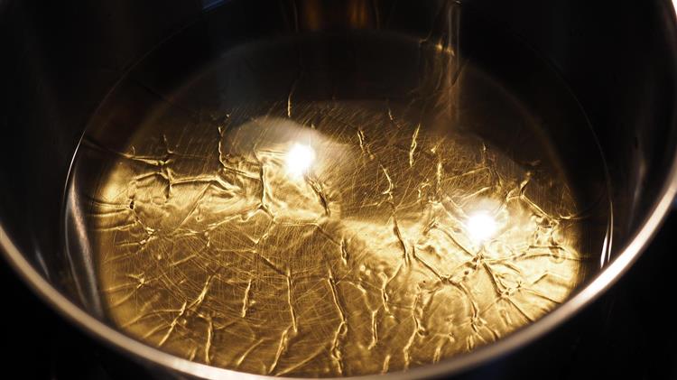 Οι παγκόσμιες εξαγωγές φυτικών ελαίων θα αυξηθούν φέτος