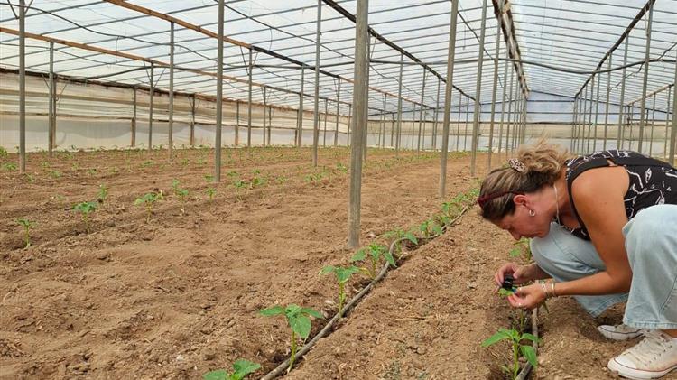 ΘωρακίΖΟΥΜΕ την Πιπεριά παρέα με την Andermatt Anthesis