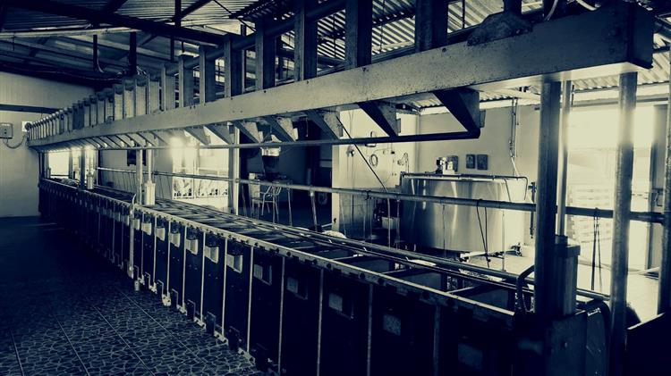 4η δόση αποζημιώσεων για την ευλογιά: Στήριξη με 12,24 εκατ. € στους πληγέντες κτηνοτρόφους