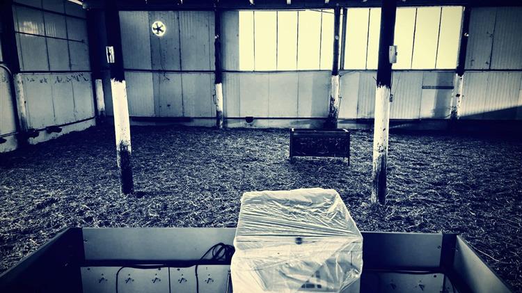 Πρόταση Καπετάνου στην κυβέρνηση για νομοθέτηση Έκτακτου Ταμείου Στήριξης των Κτηνοτρόφων