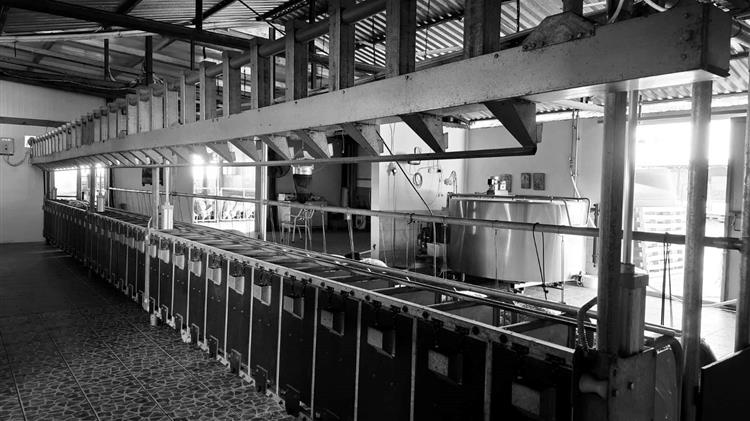 Μέχρι τέλος του έτους η υποχρεωτική απογραφή των σταβλικών εγκαταστάσεων