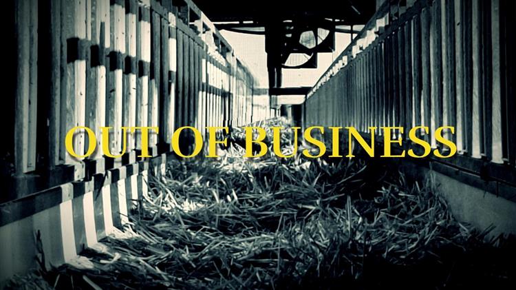 Όταν η ευλογιά συναντά την κτηνοτροφία η σκληρή πραγματικότητα πίσω από τους αριθμούς