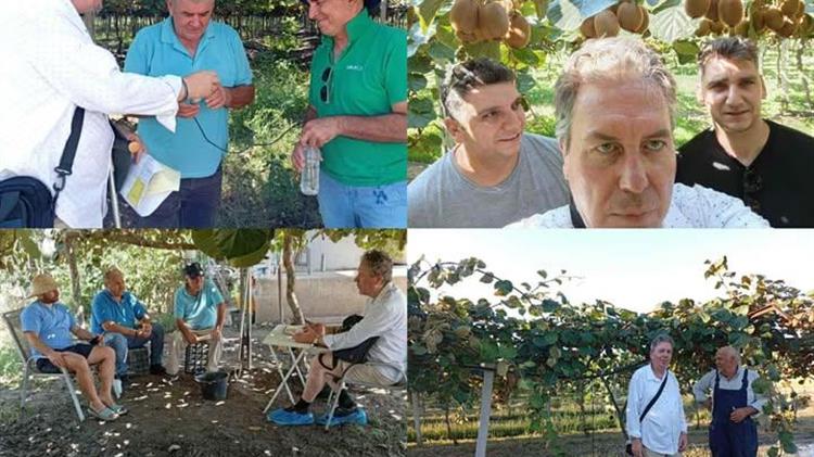 Ολοκληρωμένη συμβουλευτική στην ακτινιδιά: Ο γεωπόνος «κλειδί» για υψηλές και βιώσιμες αποδόσεις