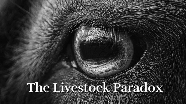 Κτηνοτροφία: Η σιωπηλή αριθμητική της παρακμής