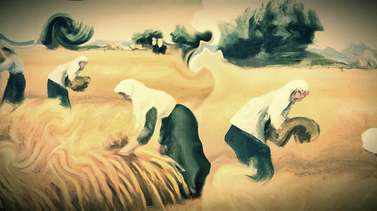 Πώς ο συνεταιρισμός Ορεστιάδας καθορίζει το παιχνίδι του σιταριού