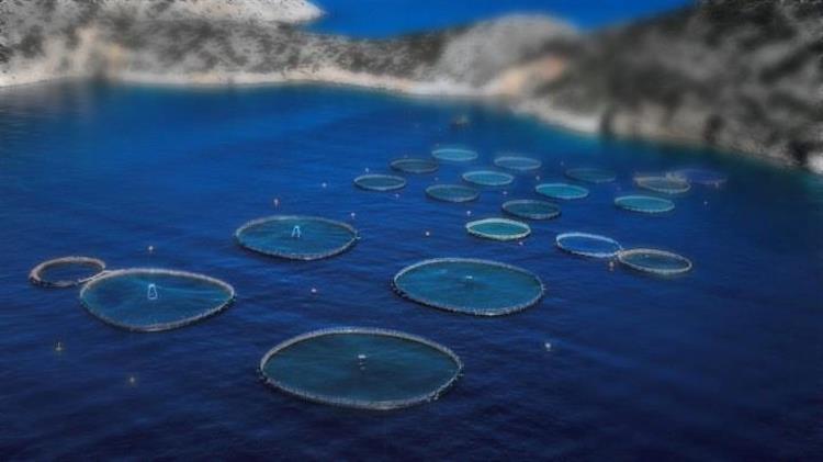 Ιχθυοκαλλιέργειες: Πληρωμές COVID-19 σε 72 επιχειρήσεις  ύψους 19,4 εκατ. ευρώ