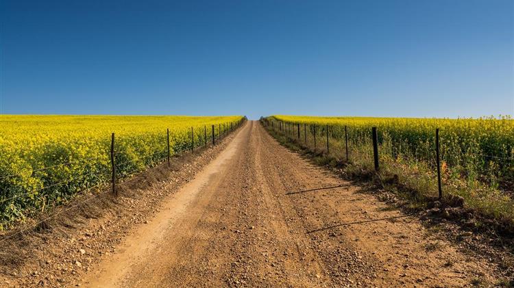 Διπλάσια χρήματα για μικρούς αγρότες: Η ΕΕ απλοποιεί τους κανόνες και μειώνει το όριο αποζημίωσης (15%)