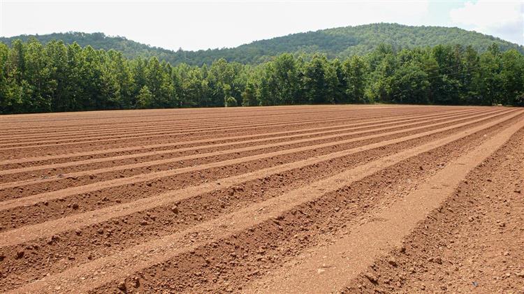 ΑΑΔΕ: Έως 29 Μαΐου η υποβολή αιτημάτων άρσης επικάλυψης αγροτεμαχίων για την ΕΑΕ 2025