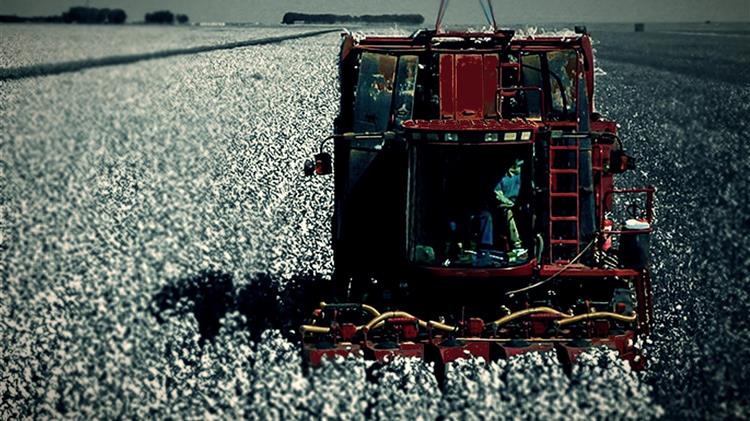 Βαμβάκι:Tο «λευκό χρυσάφι» εξακολουθεί να ζυγίζει περισσότερο στα χαρτιά των χρηματιστηρίων παρά στα χέρια των παραγωγών