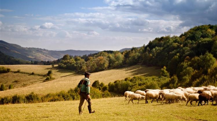 ΣΕΚ: Η ελληνική κτηνοτροφία στο έλεος της αδιαφορίας