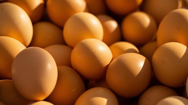 Εκτεταμένες ελλείψεις αυγών σε όλη την Ευρώπη