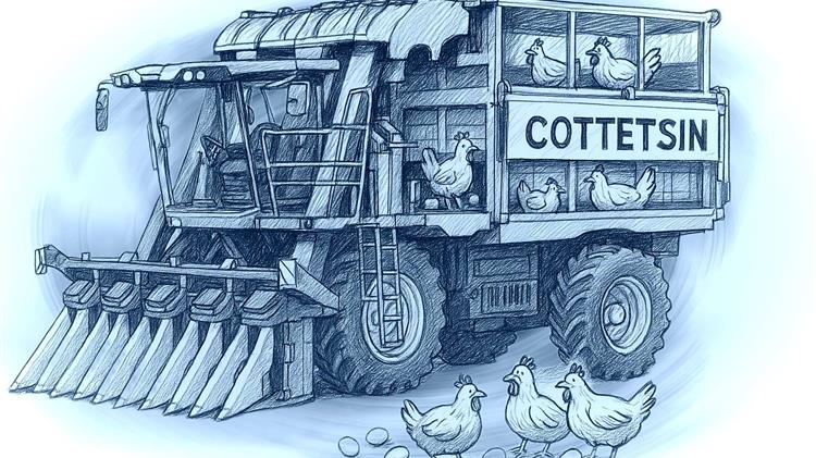 Βαμβάκι με 0,37€: Η χρονιά που οι μηχανές κινδυνεύουν να γίνουν… κοτέτσια